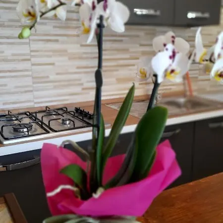 Nonna Giusy Apartman